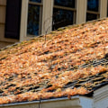 When is roofing season?